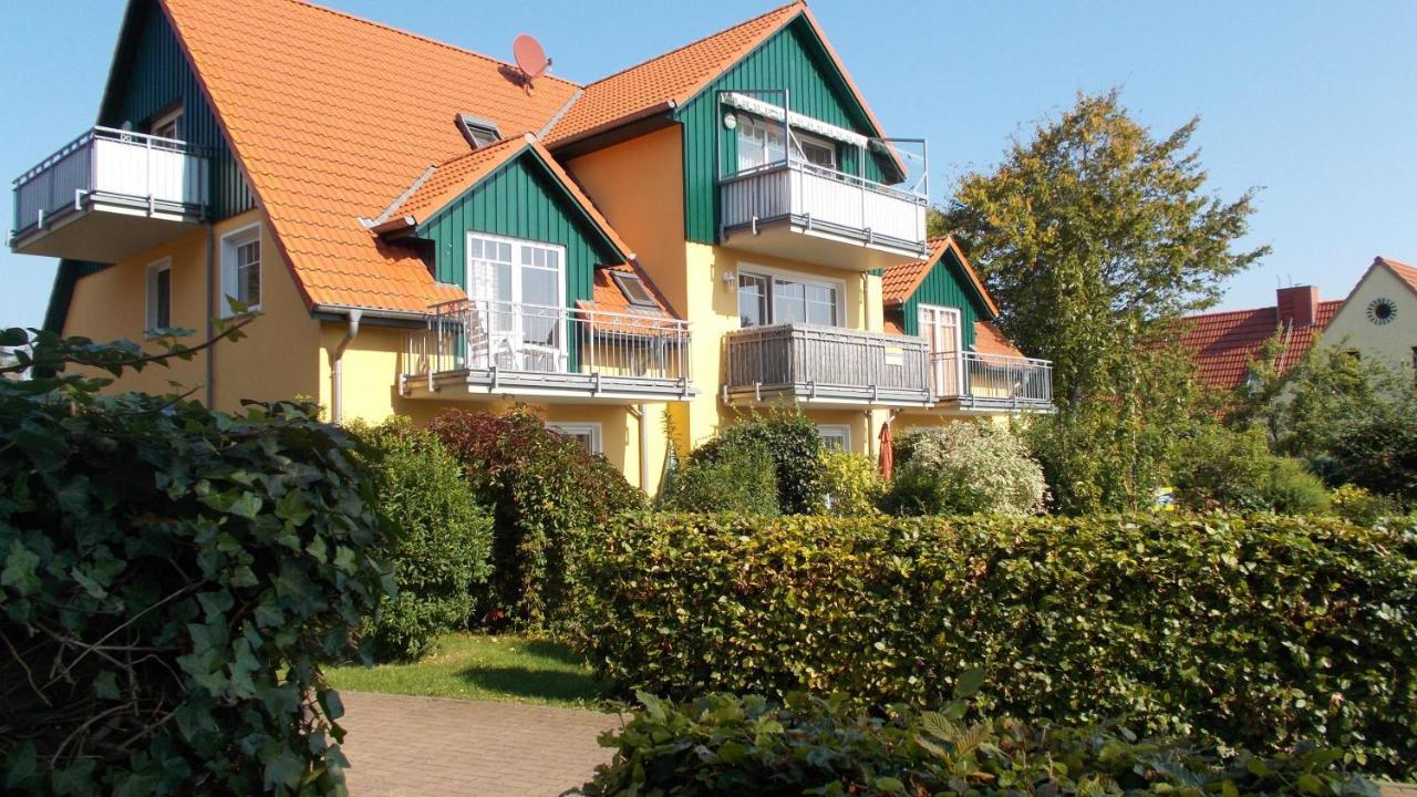 Friedensstraße 41 Wohnung 10 Ostseeheilbad Ostseeheilbad Zingst Exterior foto